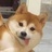 哒哒哒