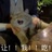 bwfighting!!i