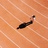 maxzoom