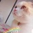 猫三儿🔺