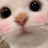 皮小皮🐱