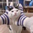 壮