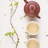 缘缘子