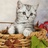 猜猜我是谁