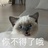西西