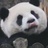 戏魅
