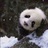 小石头