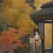 依依东望