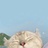 Hsiang