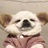 七