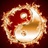 币圈道长