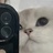 怪气yy（重生版