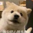 阿俊在减肥