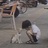 豆友MuBBwwb5gg