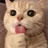 小猪柔柔琪