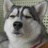 锅三日