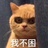 今天风好大