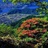 陶陶