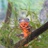 动植物村村长