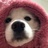 豆友B0XqdFBGu8
