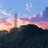 小尼兔八哥