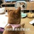 豆瓣酱