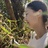 吃香菜吗