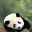 豆友W2FhNPcVWU