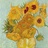 nicckume