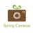 SpringCameras
