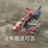 高傲的小芳