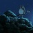 遛莽Rabbit