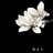 豆友oSQeq4s5n8