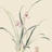 豆友8NeenuKCS8