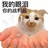 豆友CqKgcP_RKg