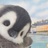 呀卡布奇诺