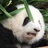 豆友02GUaB490Y