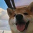 豆友Ccn3JLnXAI