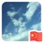 豆友TF5bfh_GhU