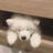 豆友PWliUqm584