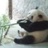 豆友A71_rrUBTI