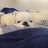豆友5_JaWyj_jI