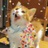 豆友18tJ_EmS_w