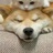 豆友SuPGw6NXD0