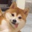 豆友7EloXZMsmQ