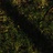 8125bk