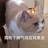 啊