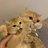豆友8yWdNJWLbg
