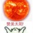 豆友9wpl1M4dQU