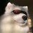 豆友gS72Hfrx74